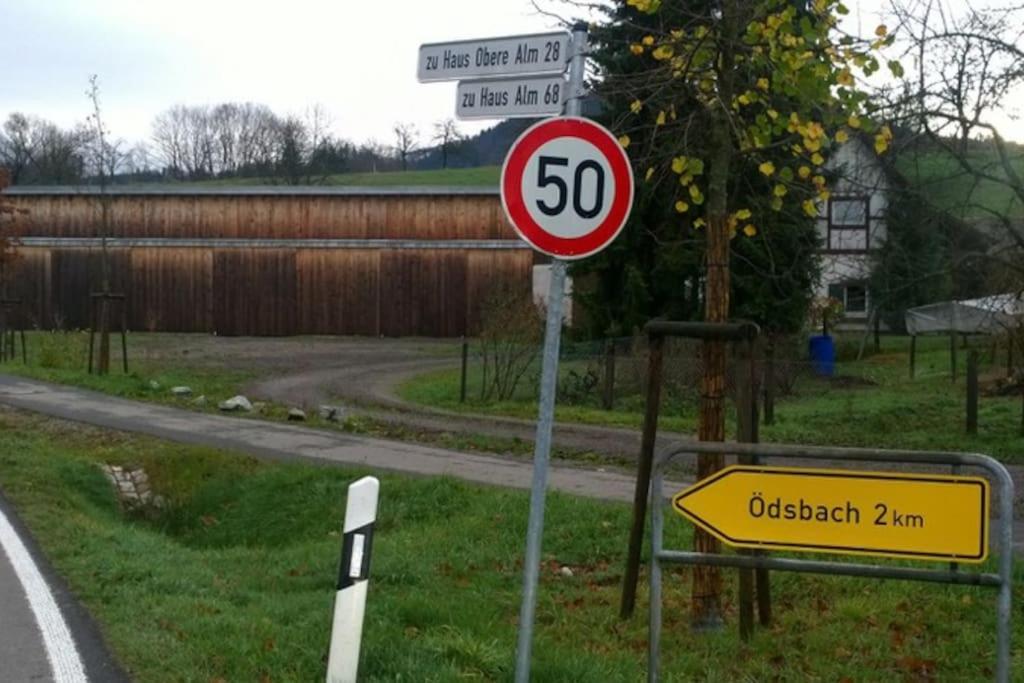 Wohnung Am Fusse Des Schwarzwalds Oberkirch  Eksteriør billede