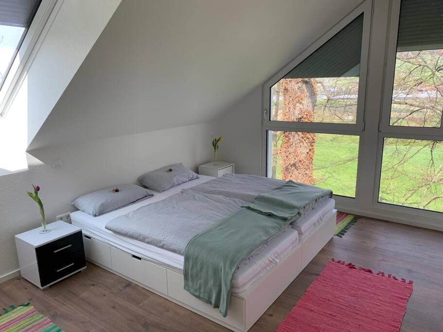 Wohnung Am Fusse Des Schwarzwalds Oberkirch  Eksteriør billede