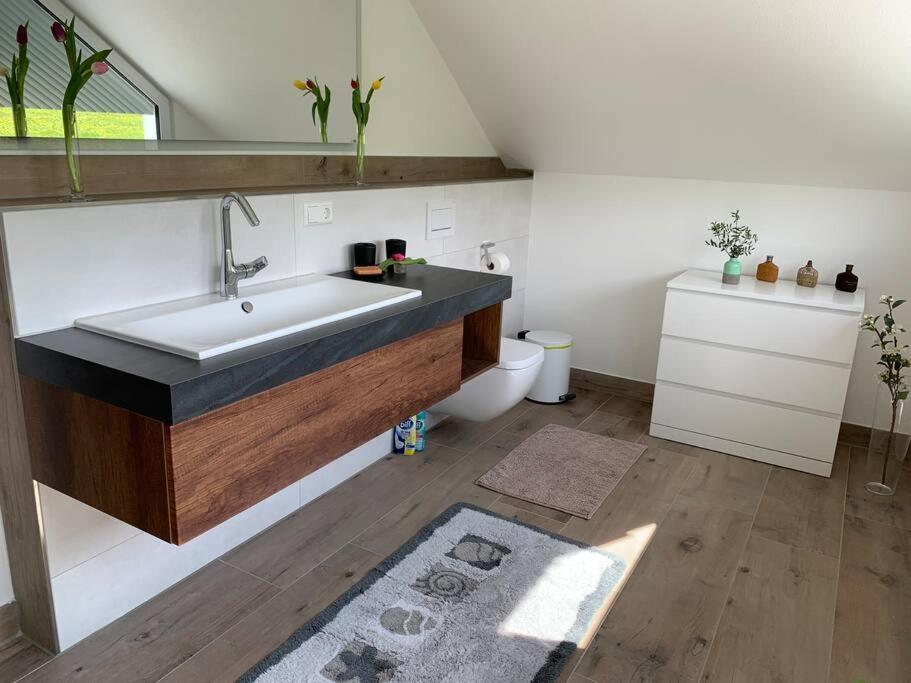 Wohnung Am Fusse Des Schwarzwalds Oberkirch  Eksteriør billede